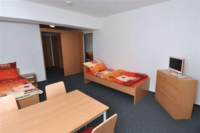 Sport Hotel Ticha Orlice Ústí nad Orlicí الغرفة الصورة
