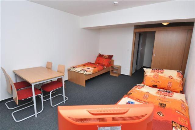 Sport Hotel Ticha Orlice Ústí nad Orlicí الغرفة الصورة